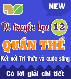 Di truyền Quần thể (KNTT)